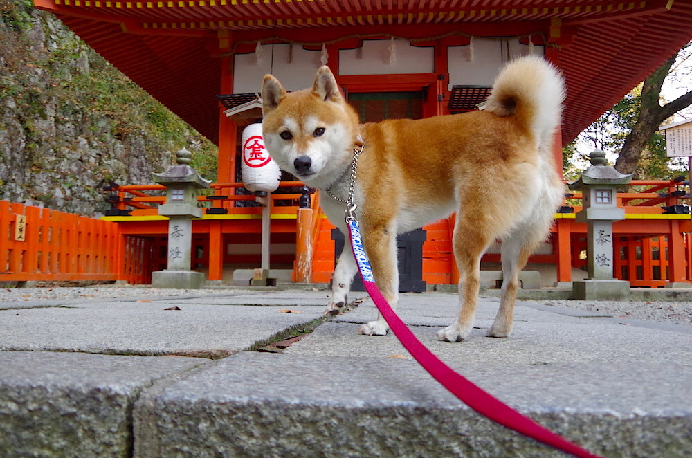 乐鱼体育登录-《Dota 2季中邀请赛，决赛现场血脉喷张》，第二届dota2邀请赛