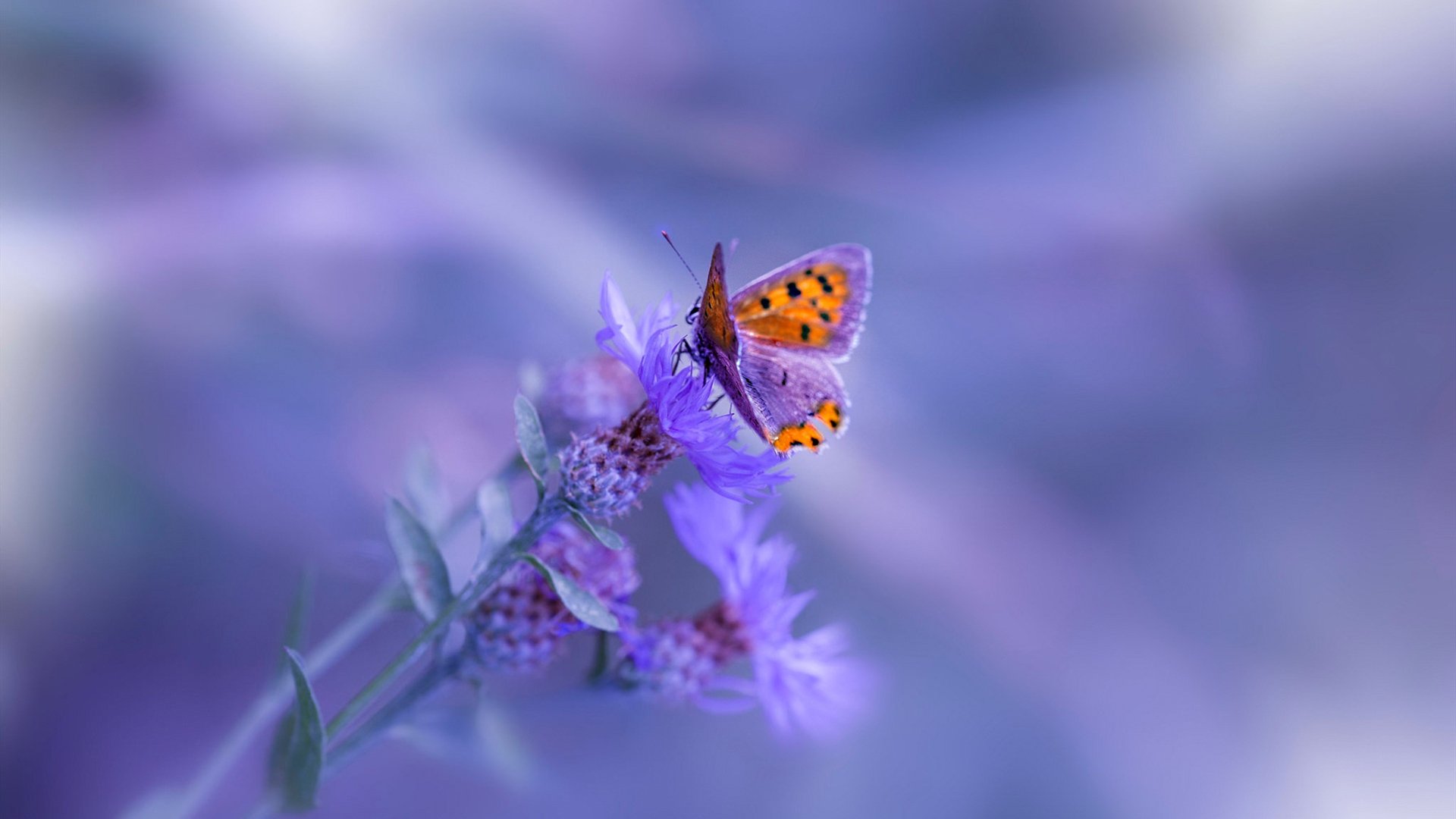 leyu乐鱼体育综合-汇丰全国青少年高尔夫球冠军赛总决赛圆满落幕，2020汇丰全国青少年高尔夫冠军赛