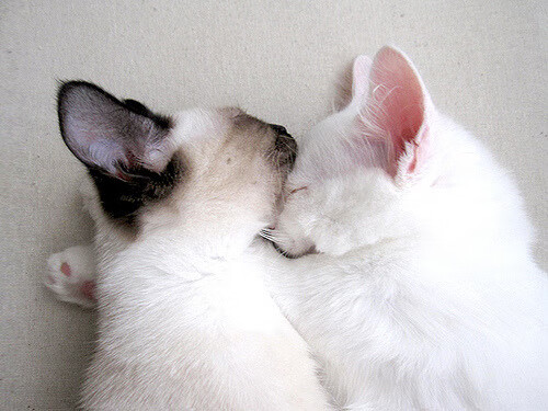 LeyuSports-曼城客场击败托特纳姆热刺追赶英超前四，曼城对战热刺