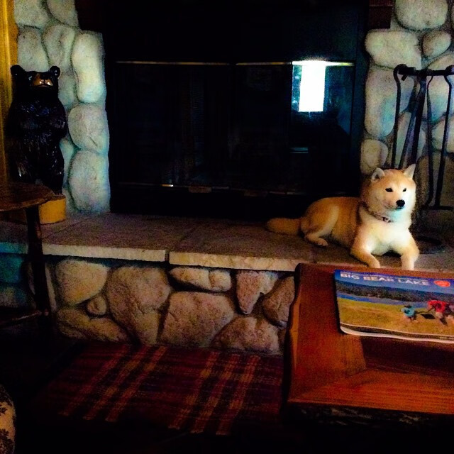 CBA多支球队加强后备力量 培养新秀,cba后卫球员排名