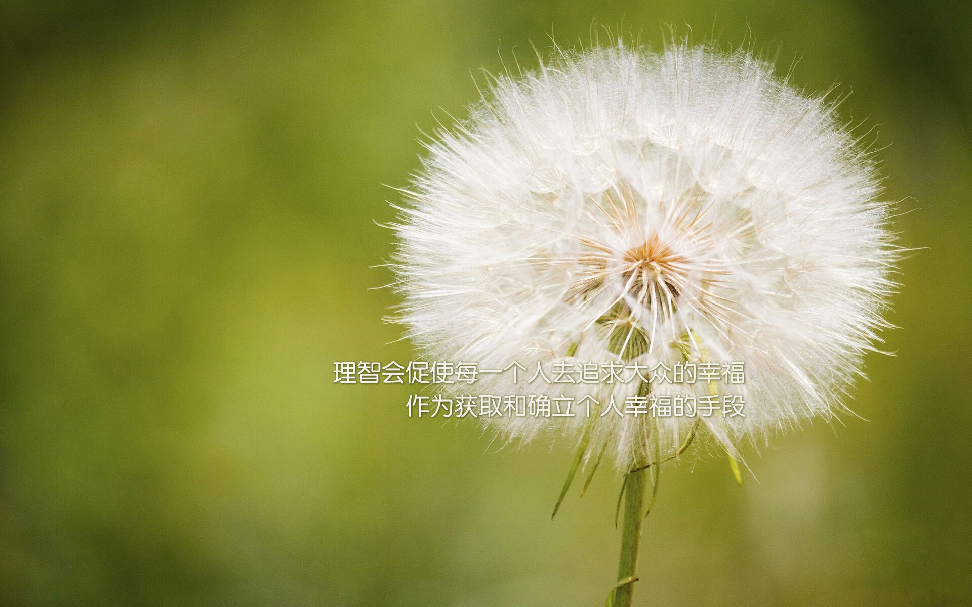 青训营地设施条件是否影响训练质量,青训营多长时间