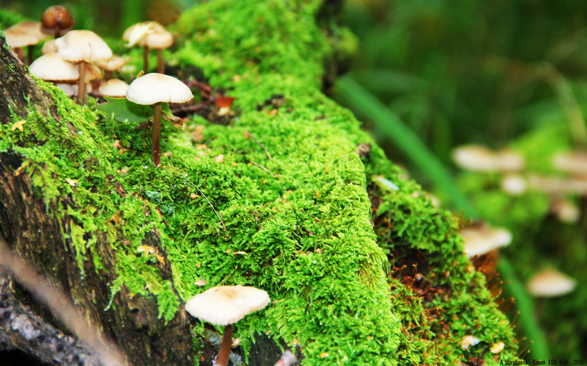 快船新赛季将尝试多套轮换以应对高强度赛程,快船队新赛季球员名单