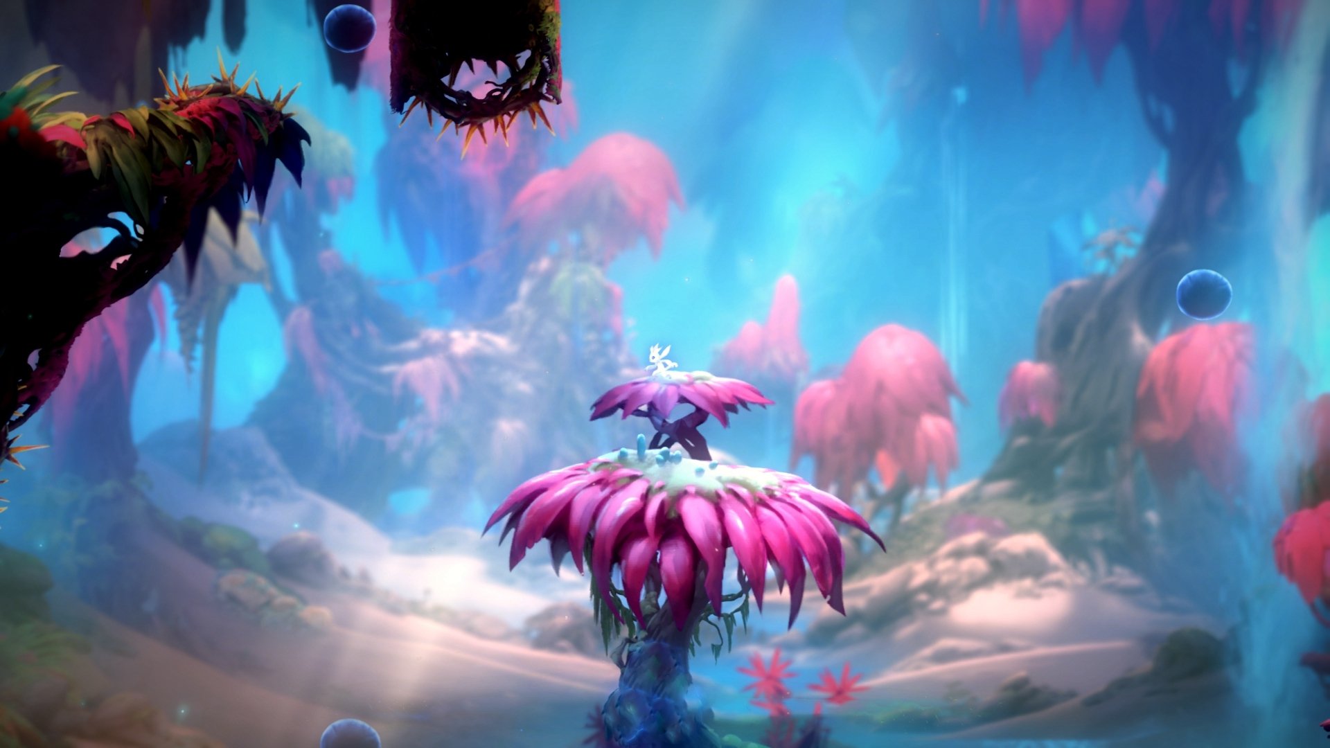 自由泳接力冲刺吉尔吉斯斯坦赢得喝彩,4×200自由泳接力全程回放