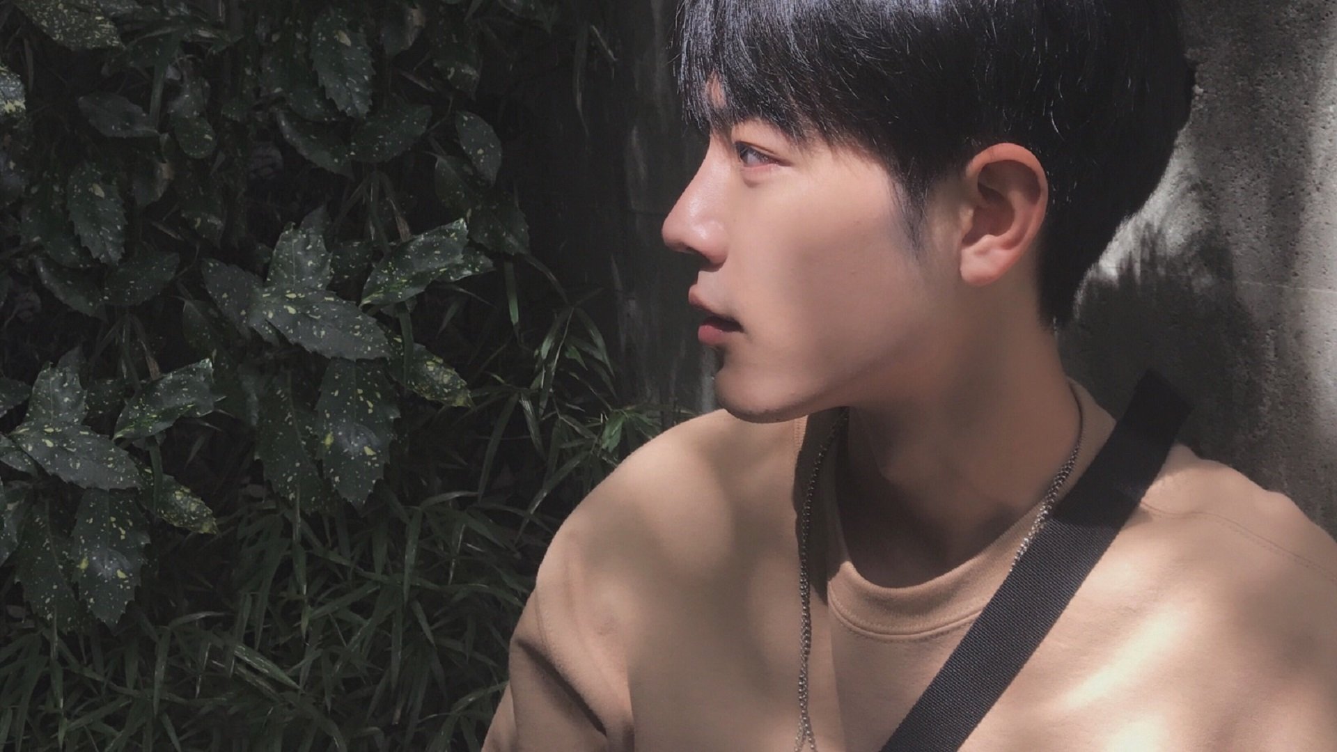 蝶泳新秀助突尼斯争得出线权，蝶泳冠军视频