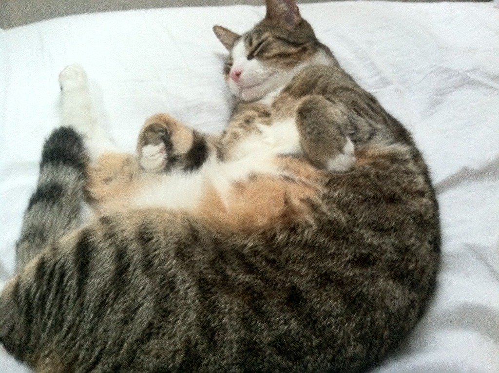 leyu乐鱼-覃海洋沉着冷静逆转对手赢得胜利，覃海洋的微博